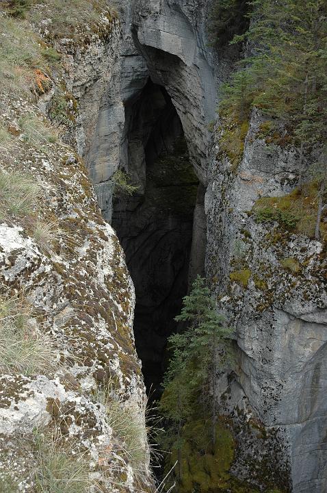 Canyon Maligne (11).JPG